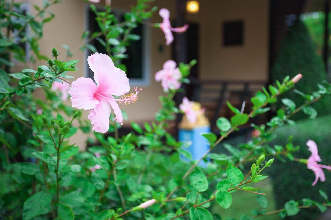 Siray Green Resort Phuket Exterior foto